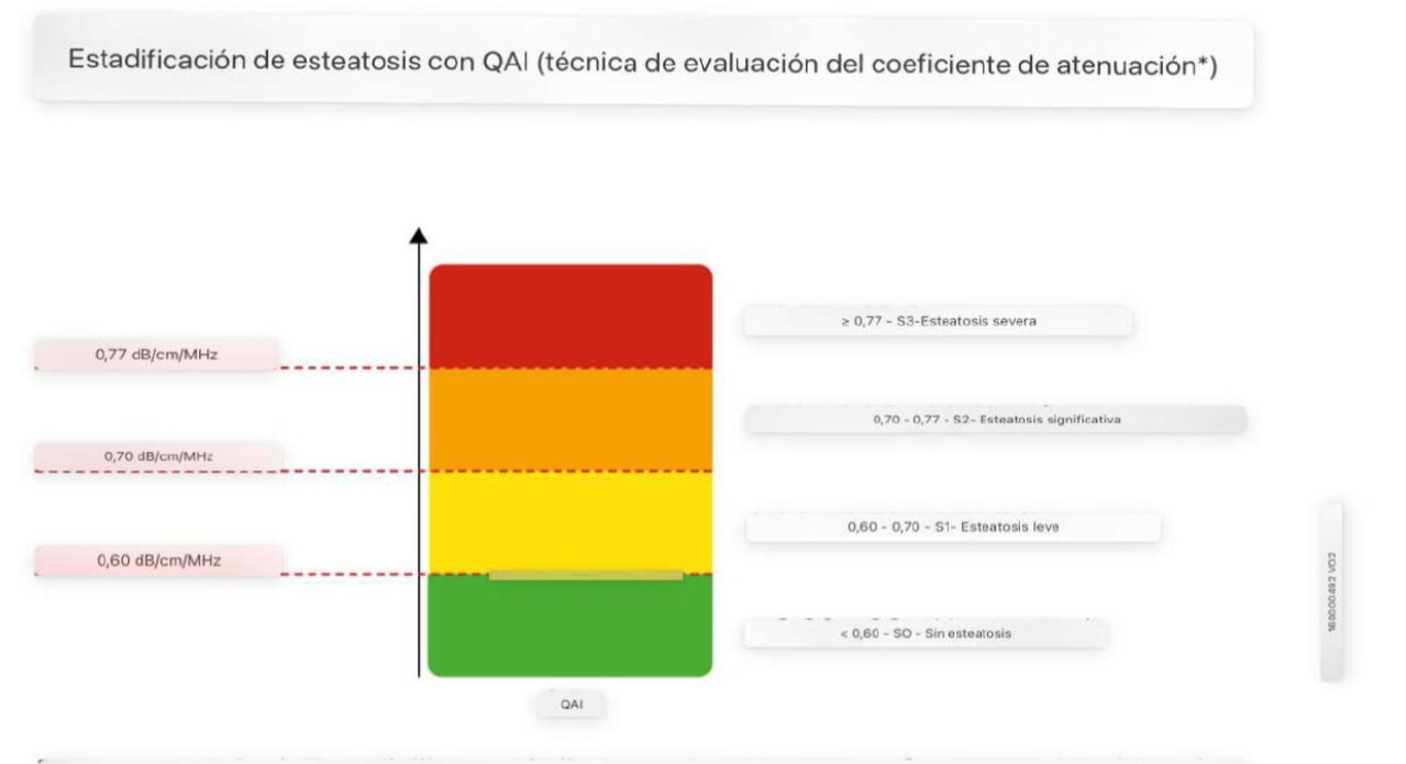 esteatosis con QAI 2