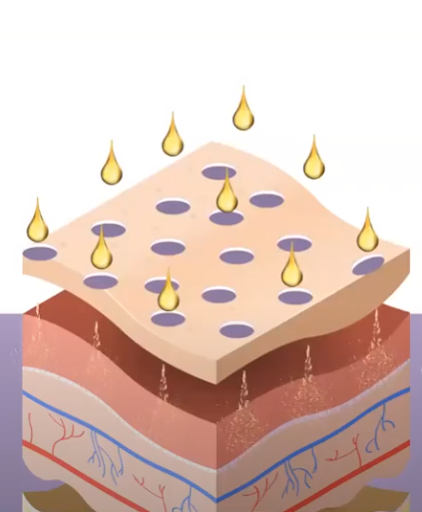 plexr shower 5