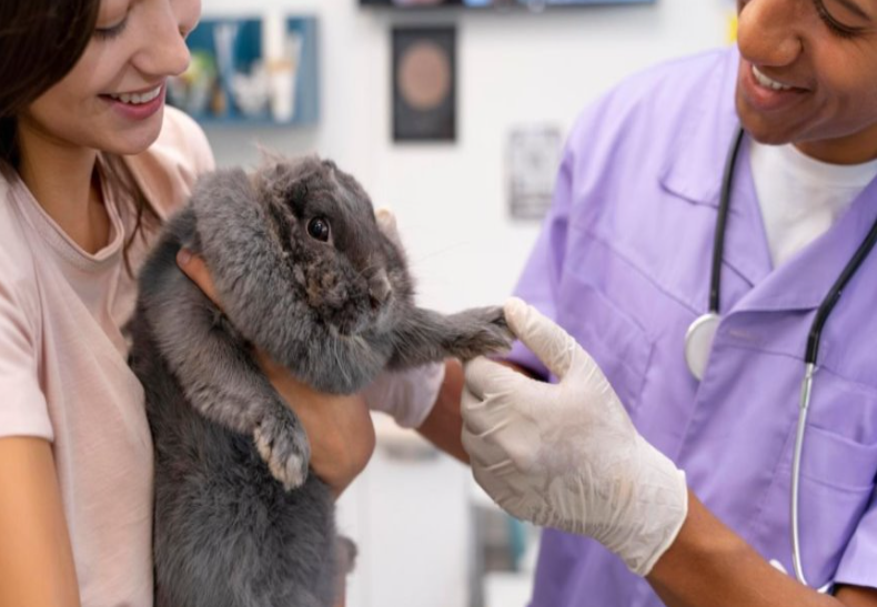 Diagnostico por imágenes veterinario